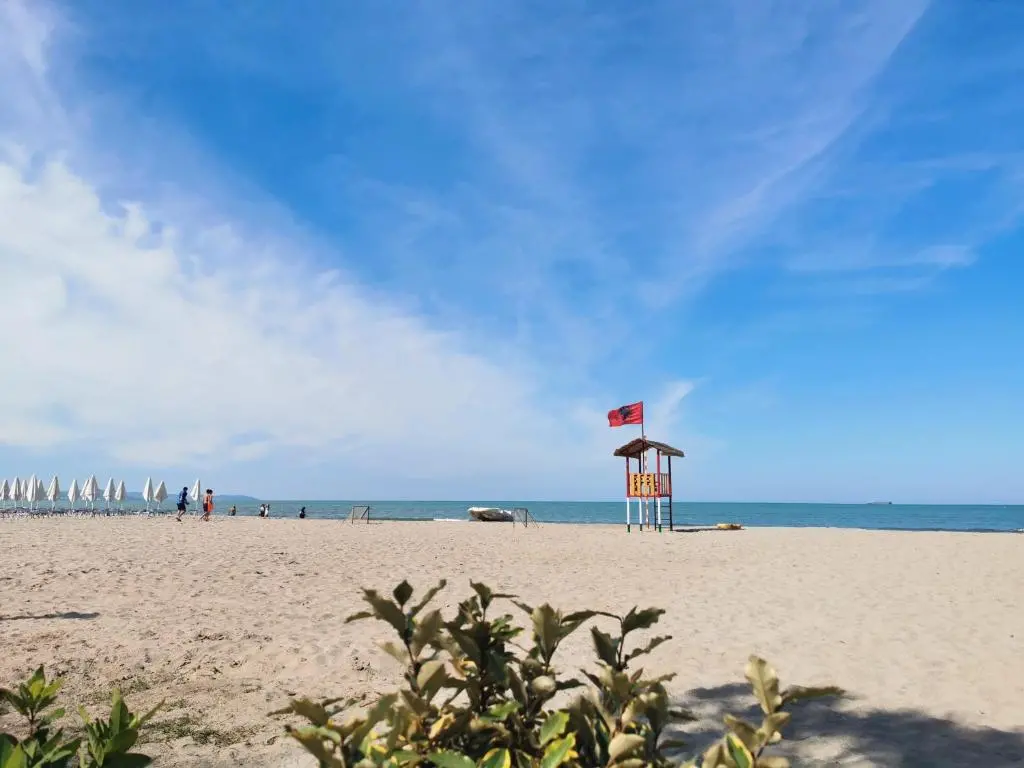 img_id_1705241.webp