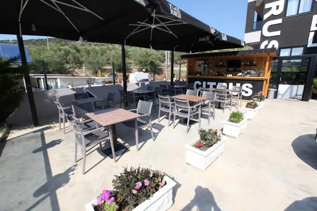 img_id_690849.webp