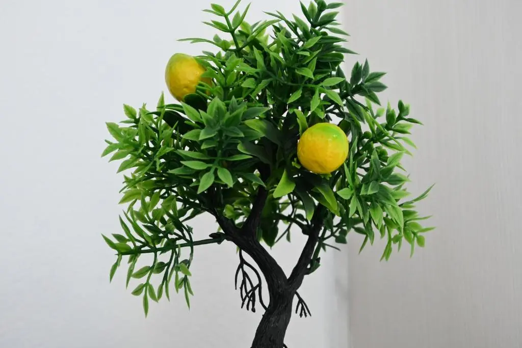 img_id_1662504.webp