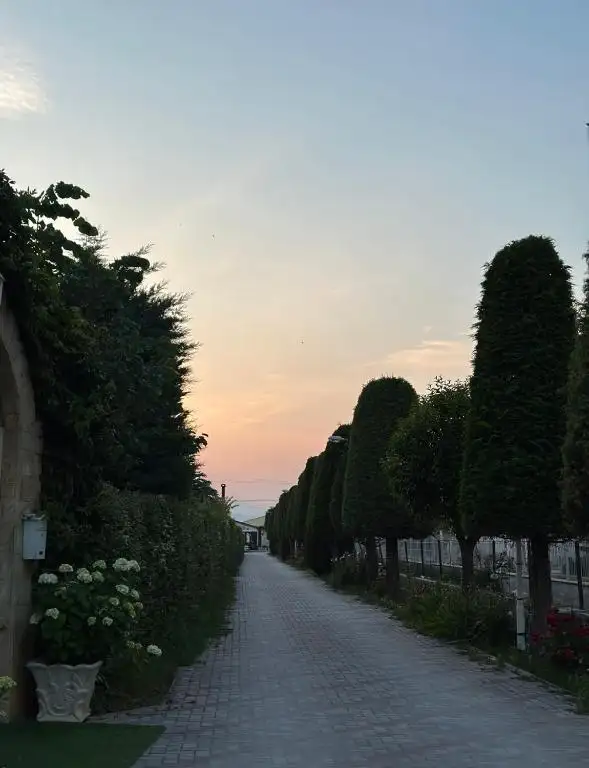 img_id_688977.webp