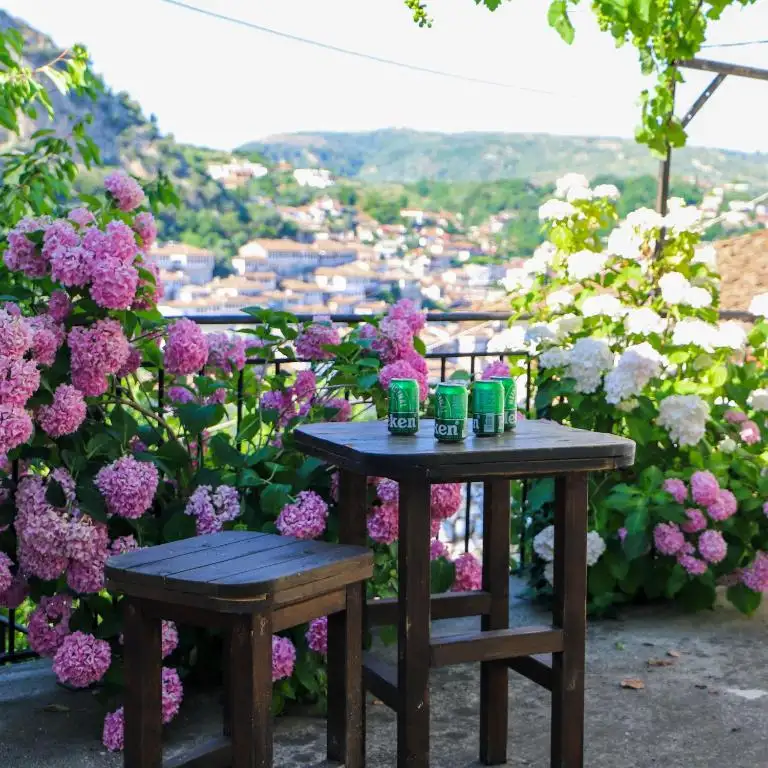 img_id_689480.webp