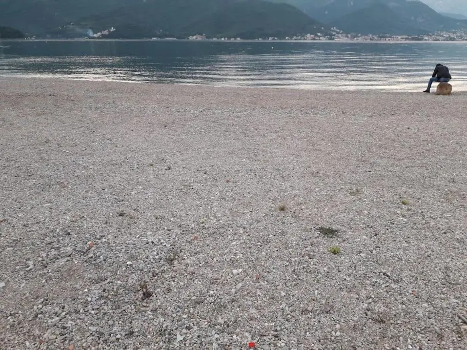 img_id_2392294.webp