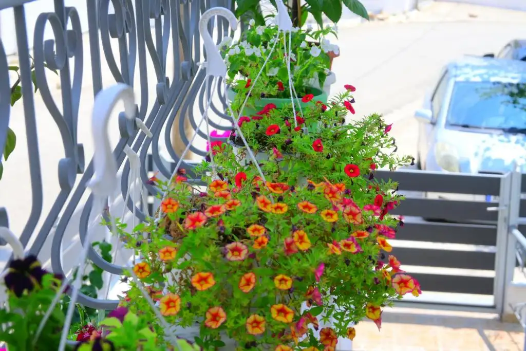 img_id_689768.webp