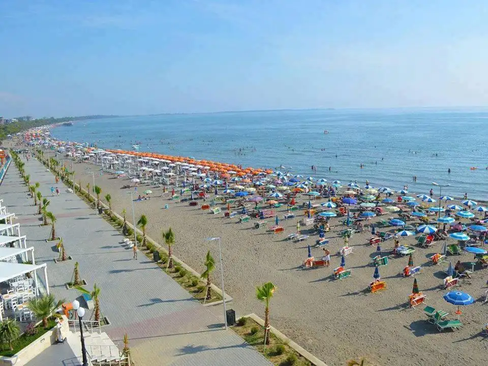 img_id_691162.webp