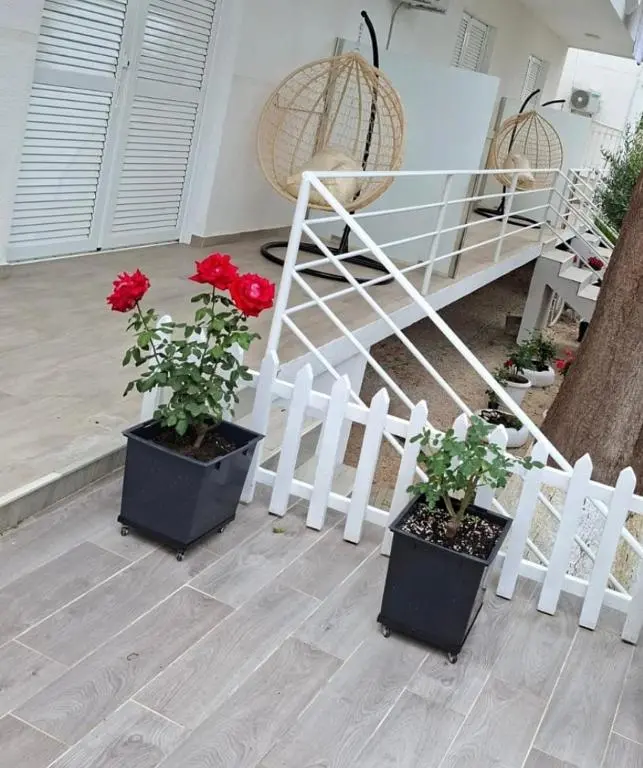 img_id_1107904.webp