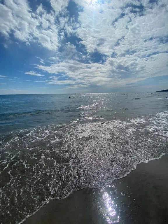img_id_2386613.webp