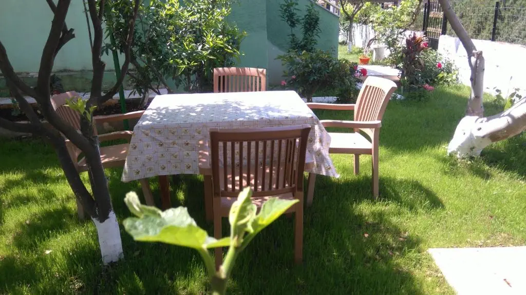 img_id_1648378.webp