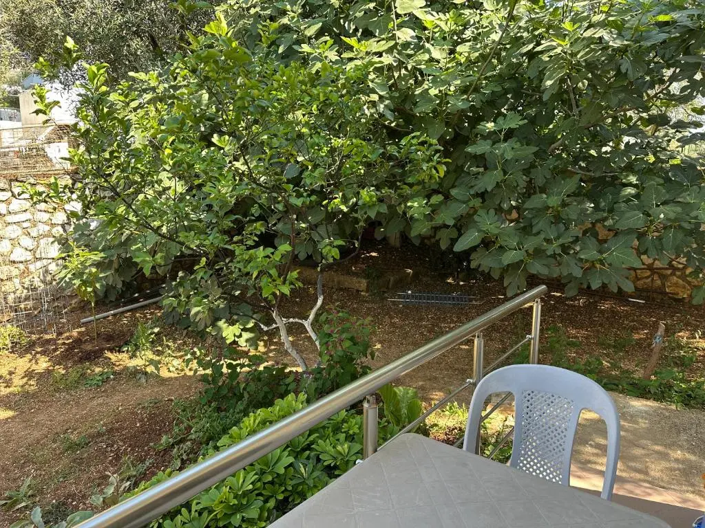 img_id_1001408.webp