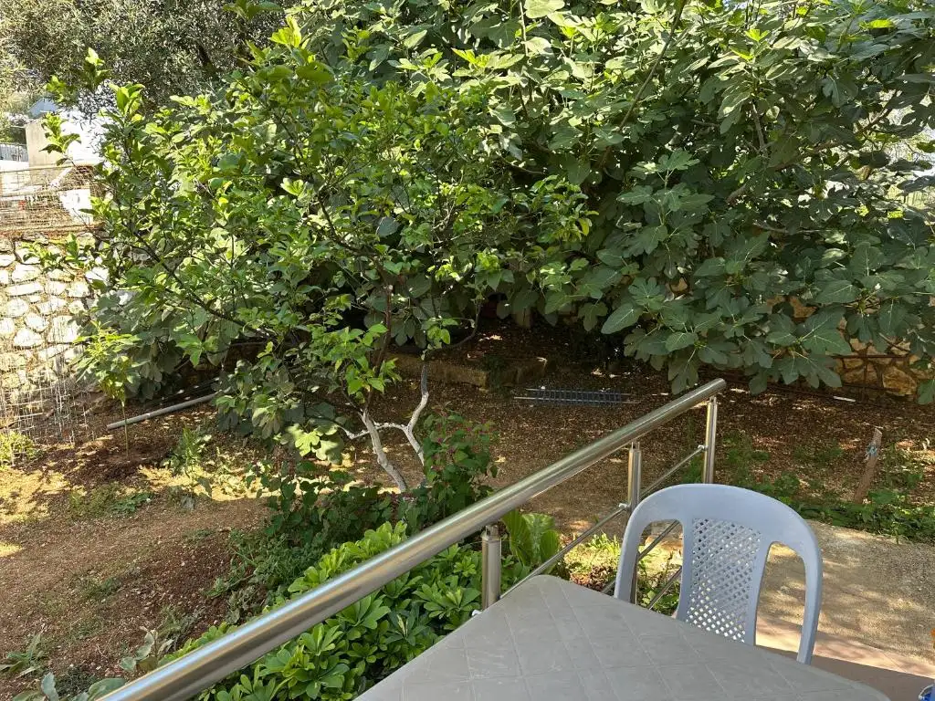 img_id_616161.webp