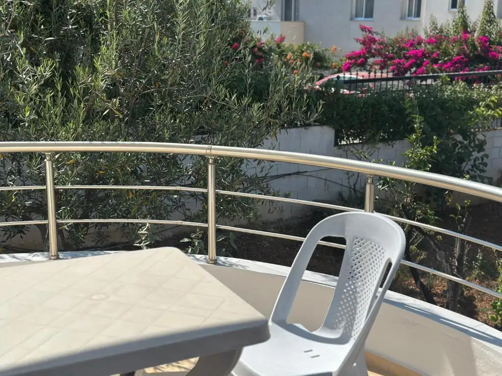 img_id_616184.webp