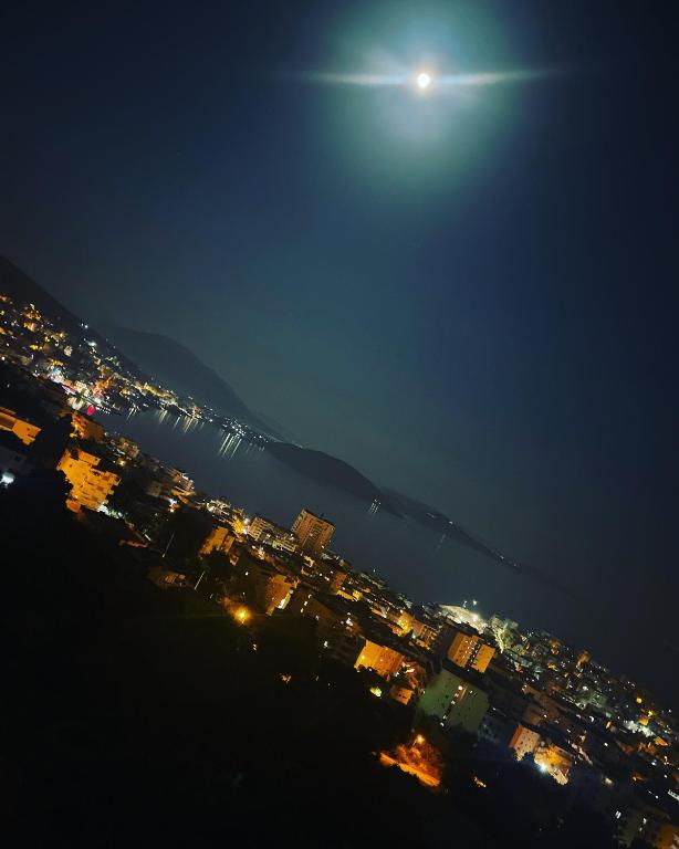 img_id_955559.jpg