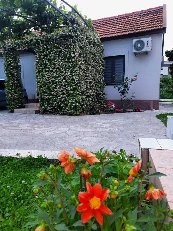 img_id_2382013.webp