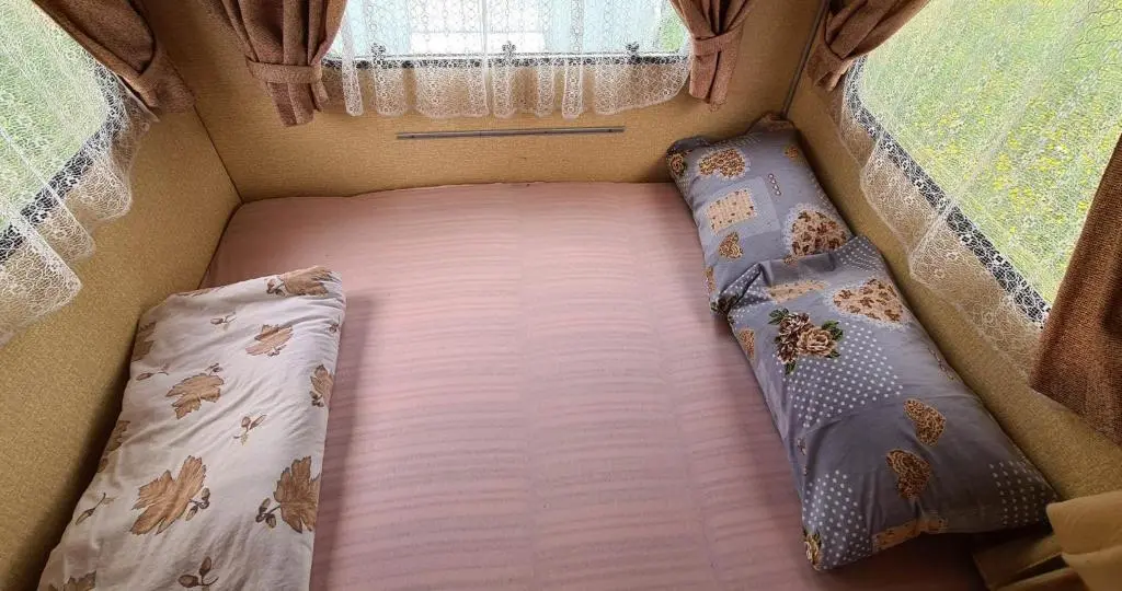 img_id_2381793.webp