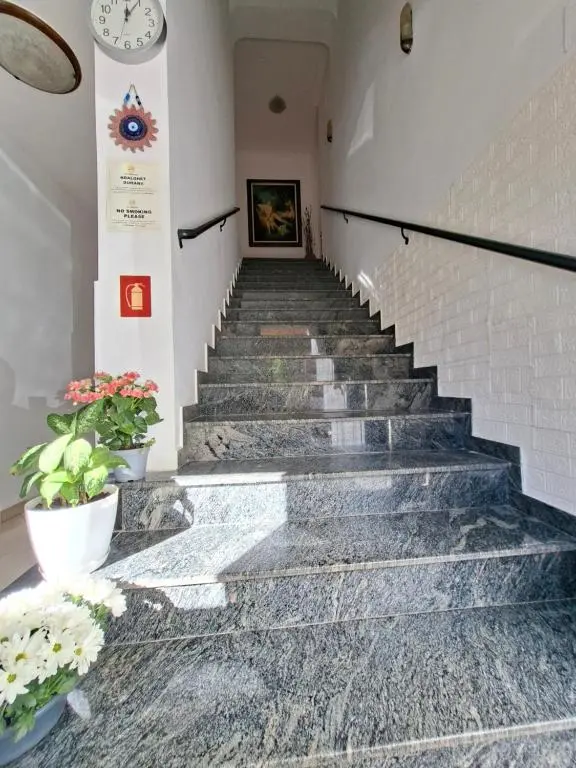 img_id_1644277.webp
