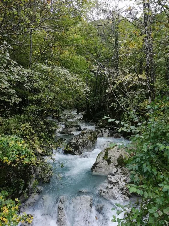 img_id_2380918.webp