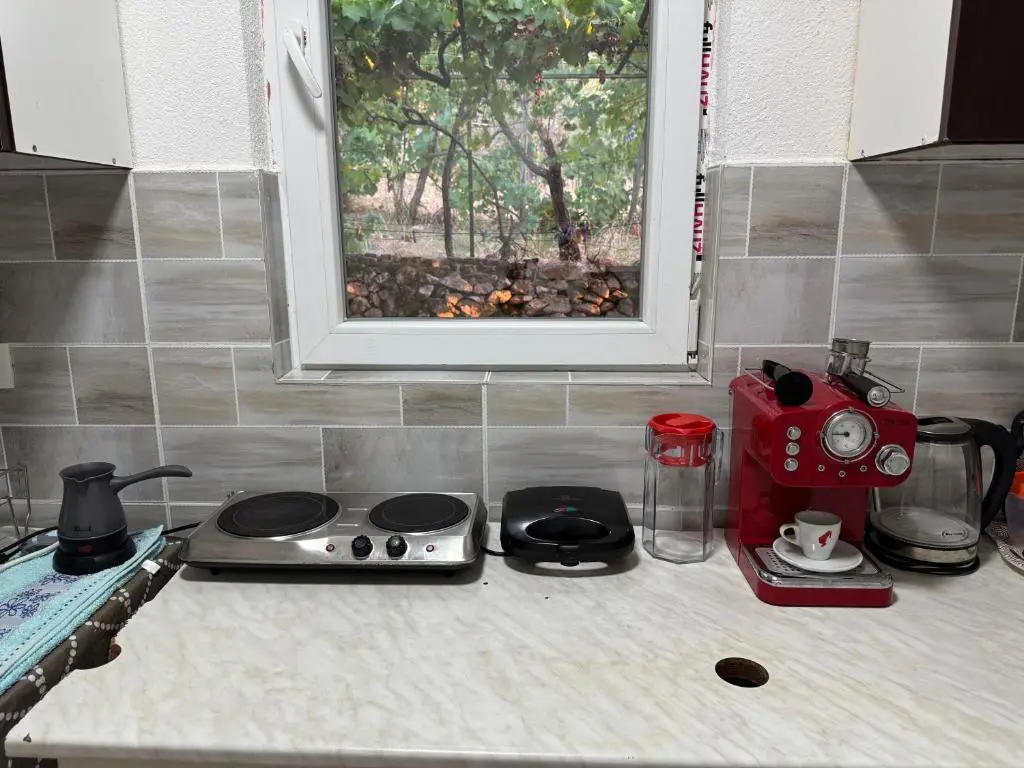 img_id_2380144.webp