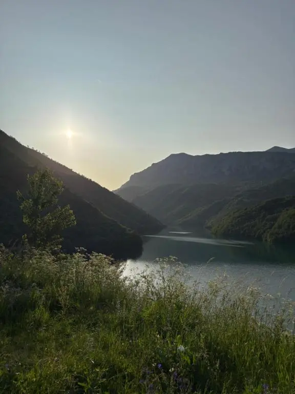 img_id_2378568.webp
