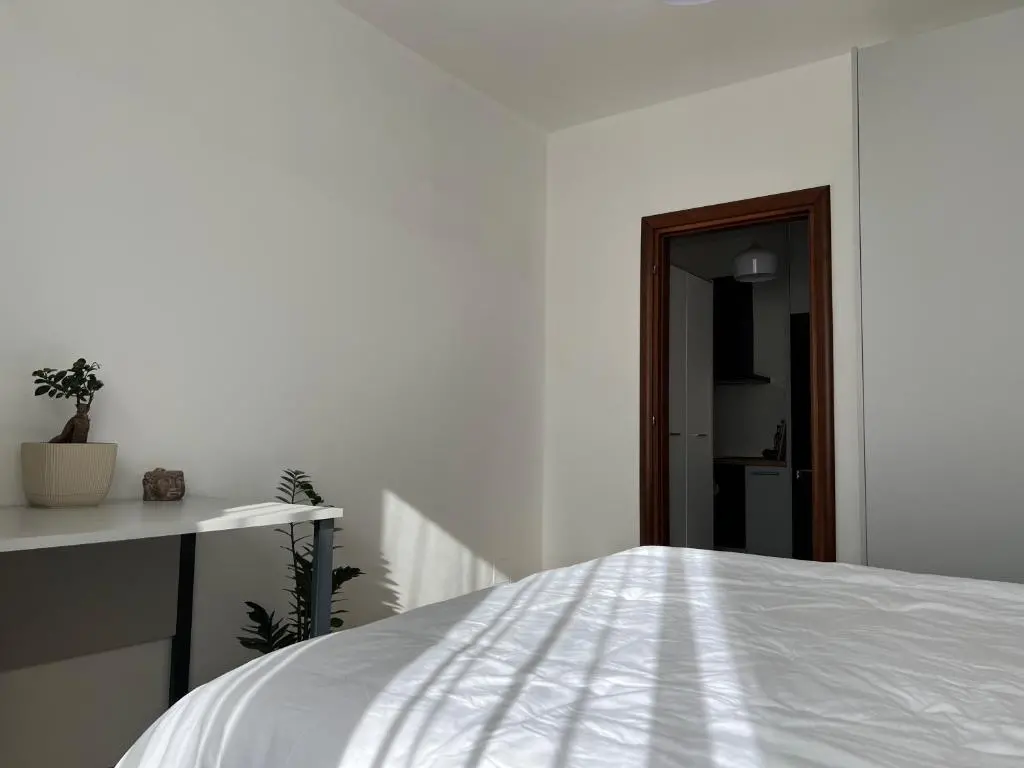 img_id_1683355.webp