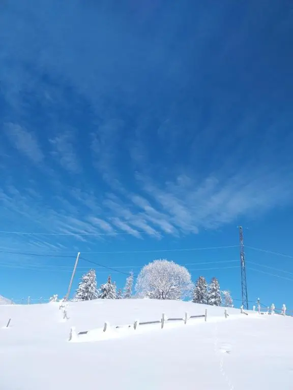 img_id_2377499.webp