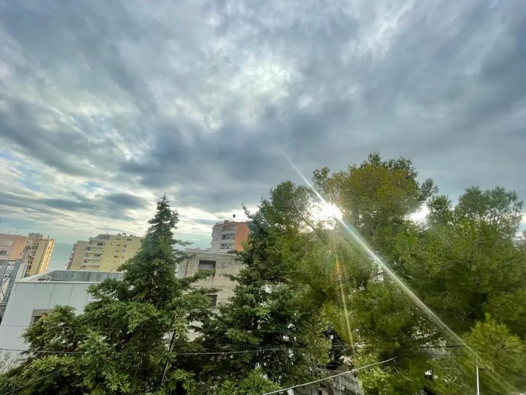 img_id_1672060.webp