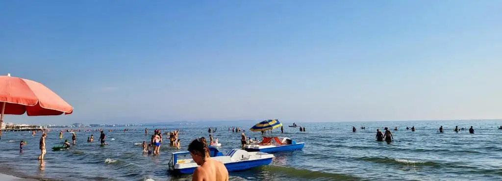 img_id_1707628.webp