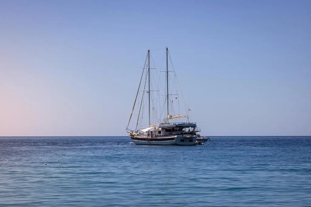 img_id_2374001.webp