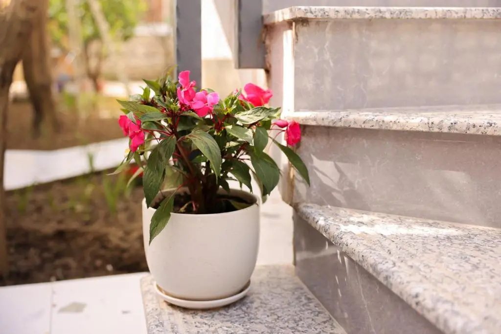 img_id_1716013.webp