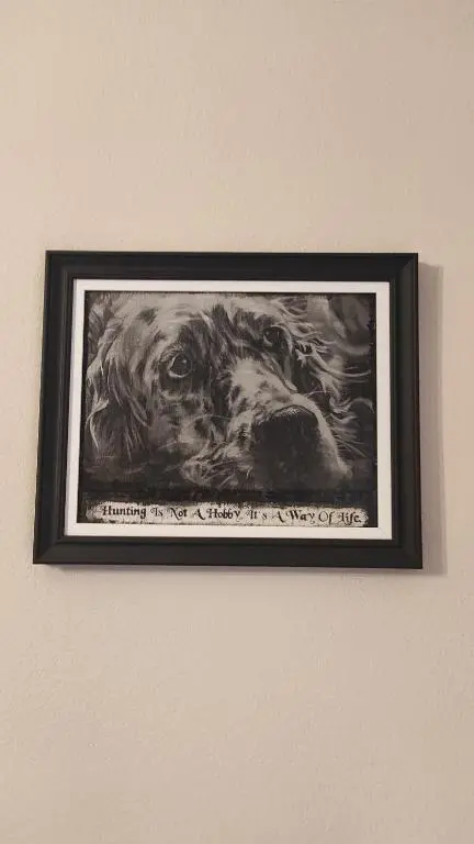 img_id_2373430.webp