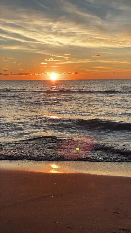 img_id_1669568.webp