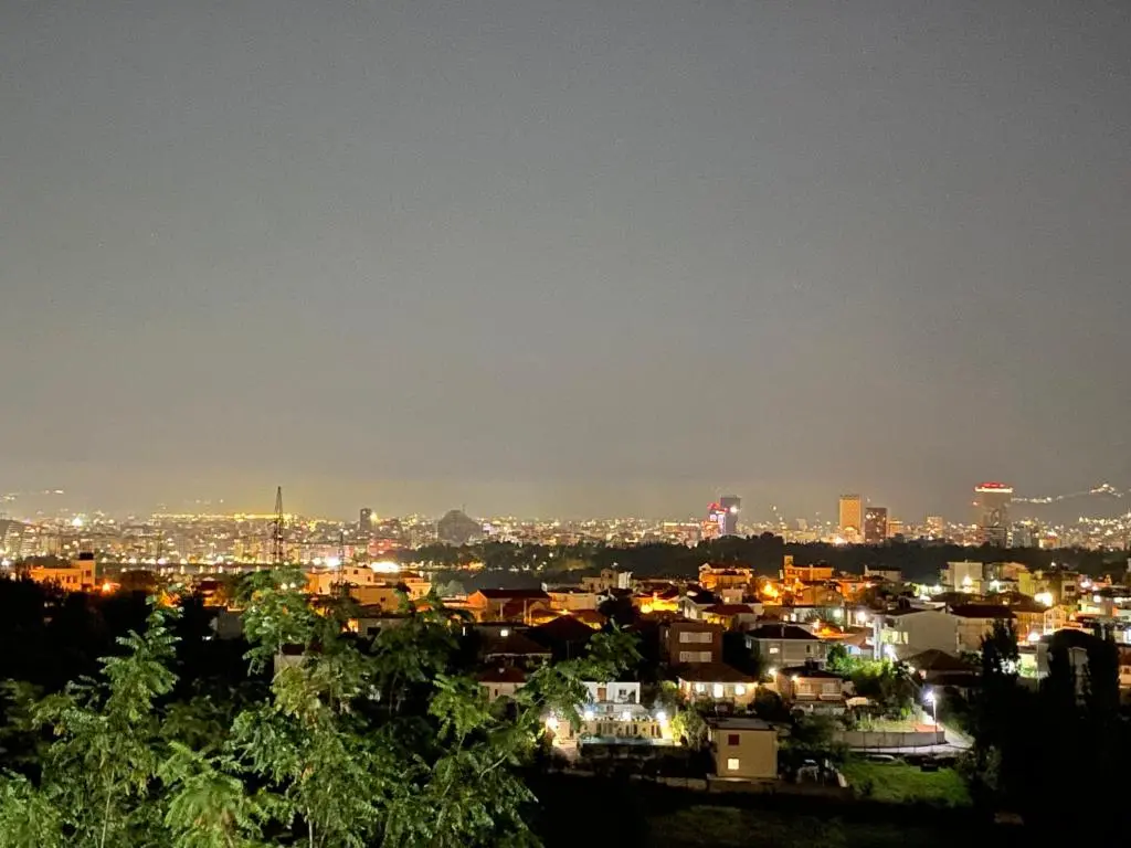 img_id_954223.webp