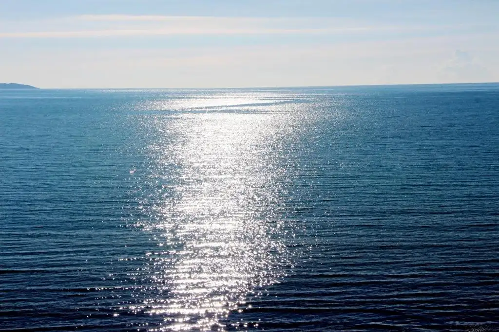 img_id_704821.webp