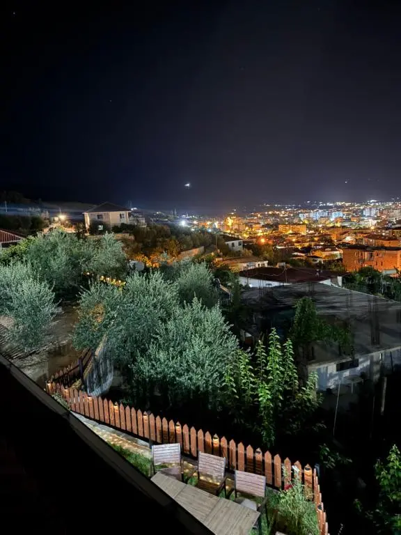 img_id_977807.webp