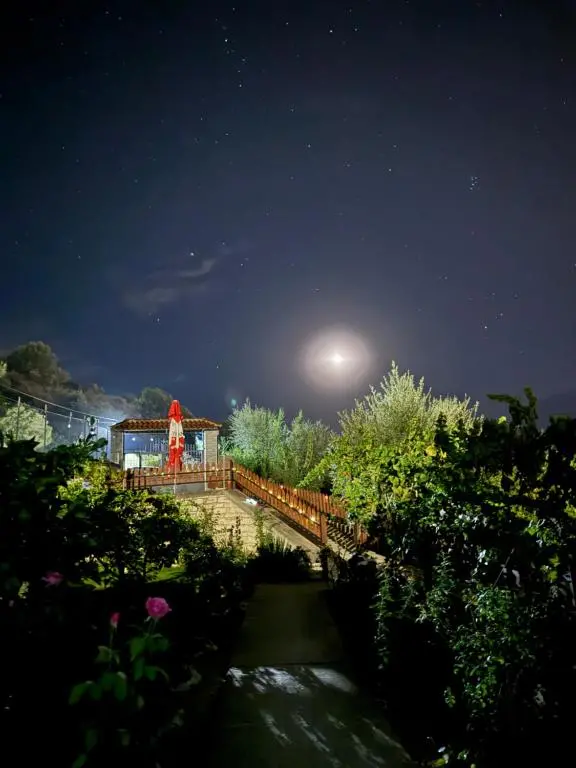 img_id_977827.webp