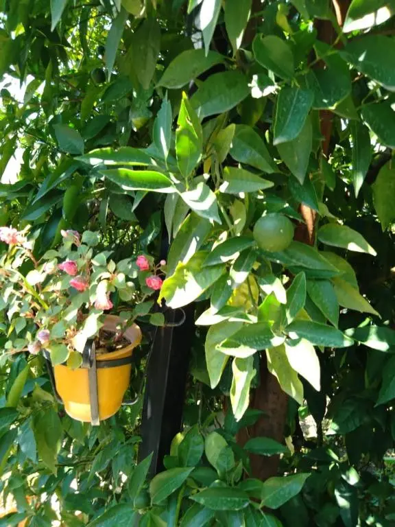 img_id_1654119.webp