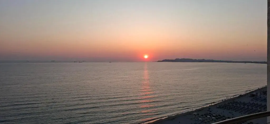 img_id_1706814.webp