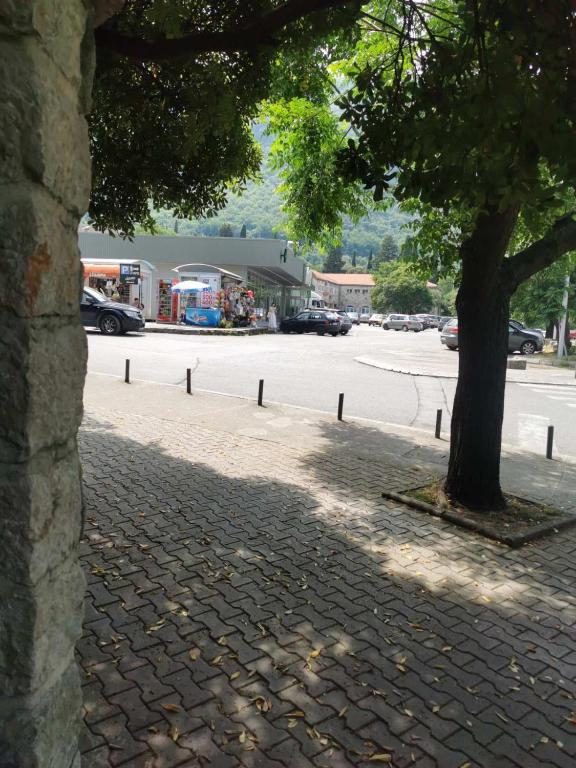 img_id_2367556.jpg