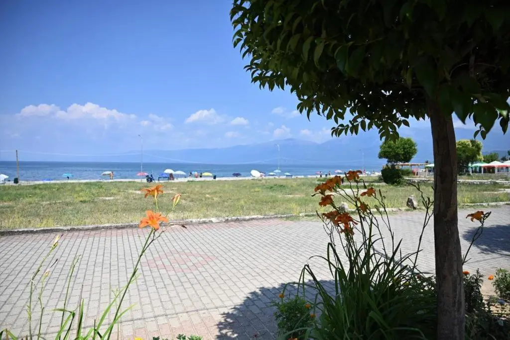 img_id_1670831.webp