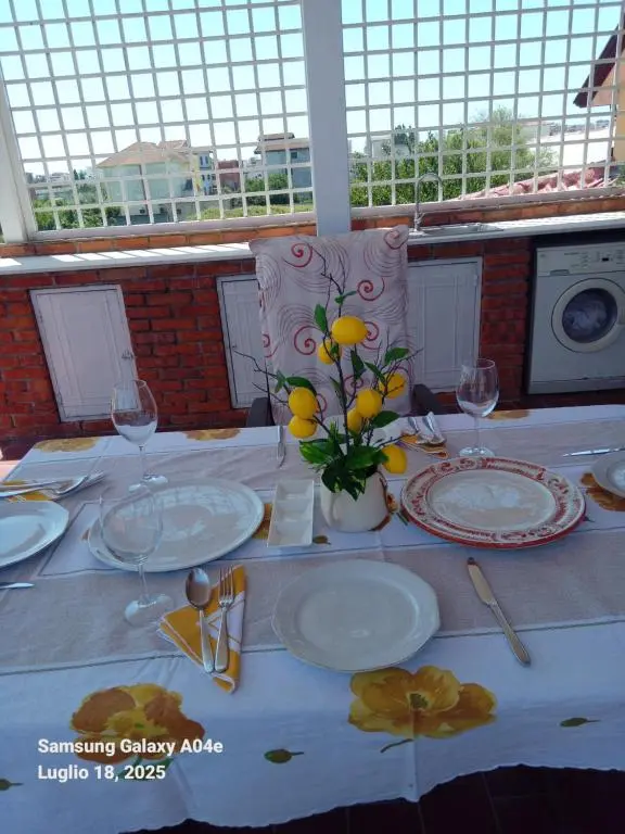 img_id_1694844.webp