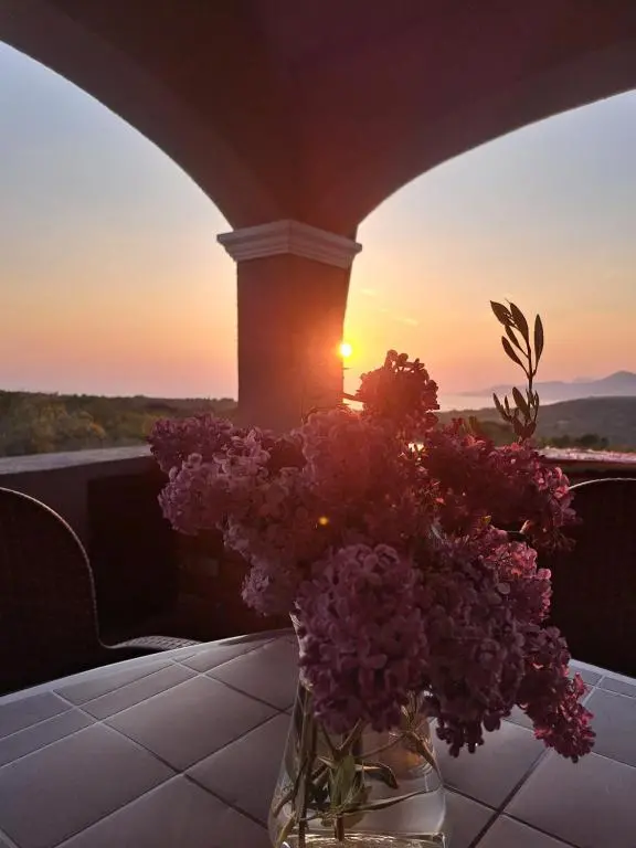 img_id_2366080.webp