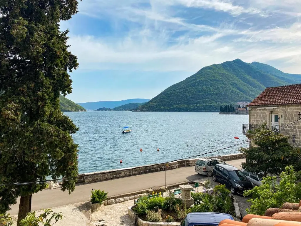 img_id_2365818.webp