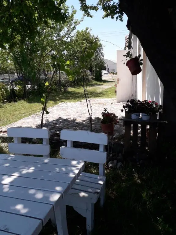 img_id_1669788.webp