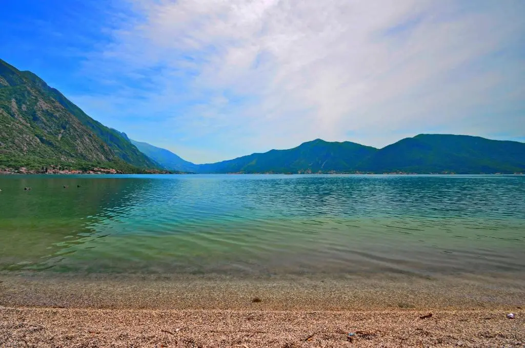 img_id_1640680.webp