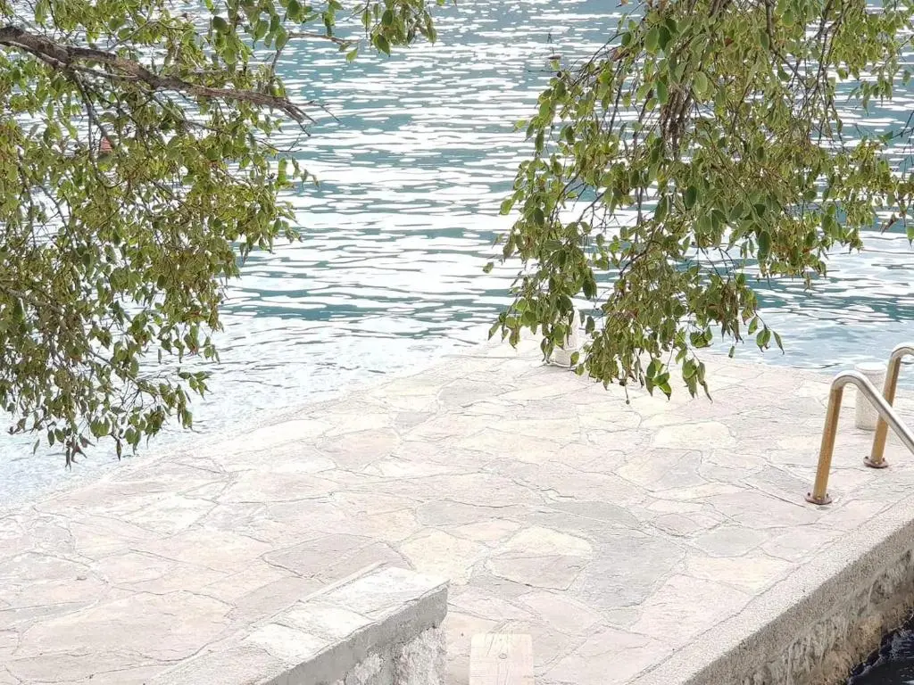 img_id_2364722.webp