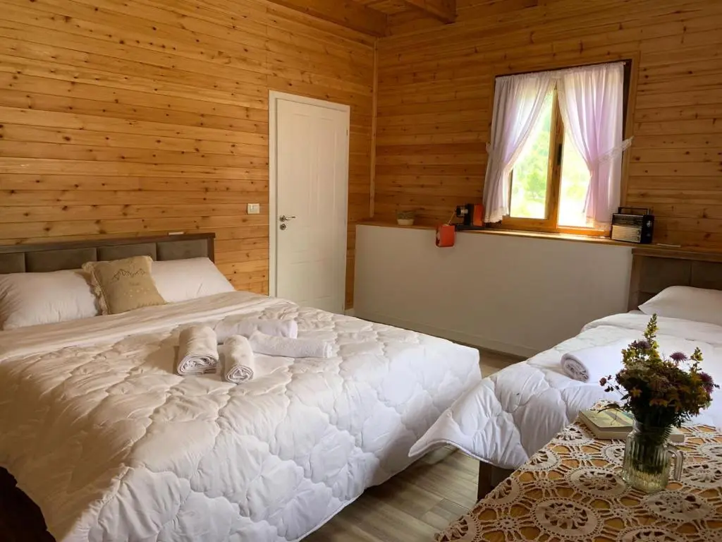 img_id_919817.webp