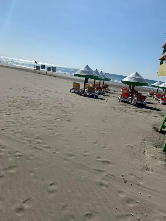 img_id_2363017.webp