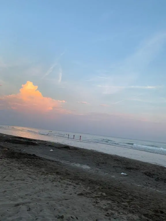 img_id_2363026.webp