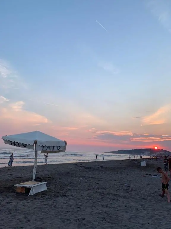 img_id_2363029.webp