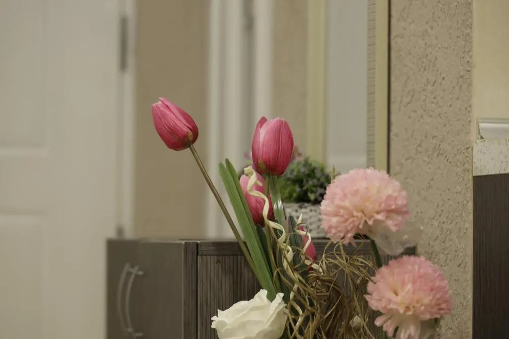img_id_2362526.webp
