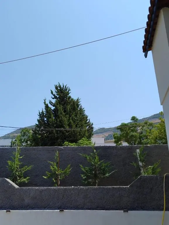 img_id_1692892.webp