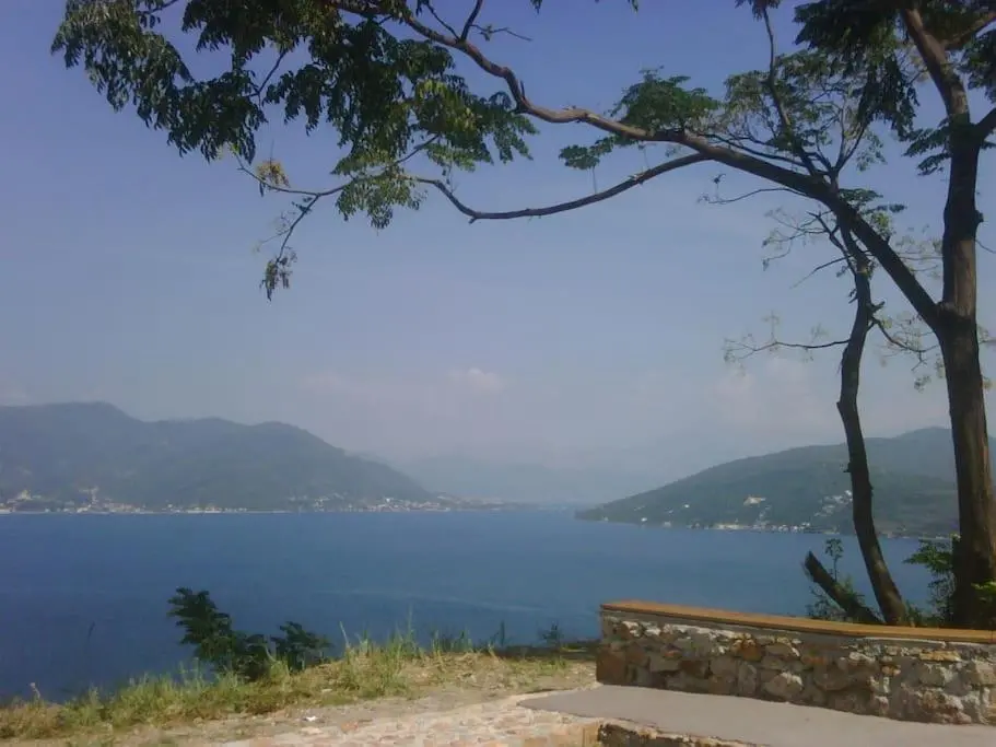 img_id_2360981.webp